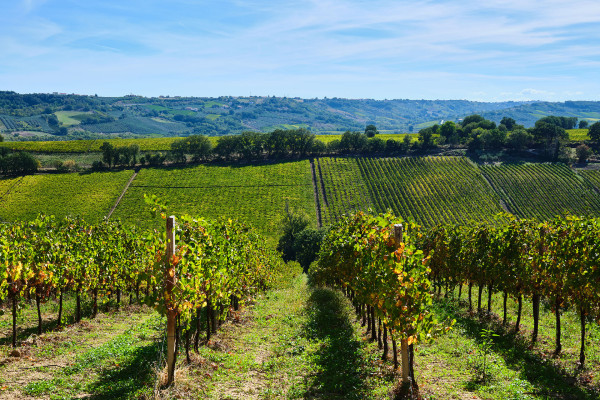 Degustoria d'Abruzzo
