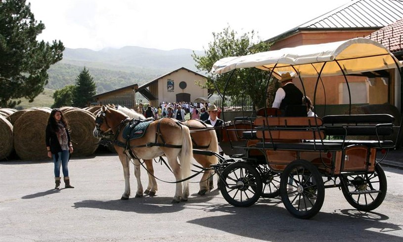 Pallenium Tourism