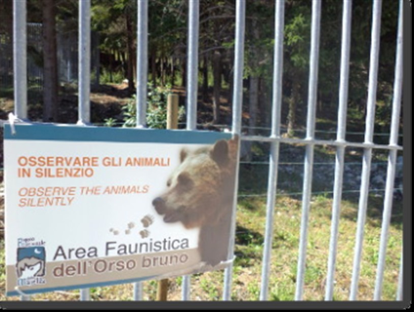 Area Faunistica dell'Orso Bruno Palena Cosa visitare