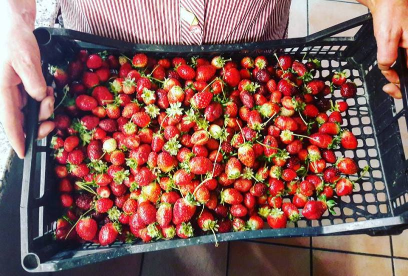 Azienda Agricola Bracciale