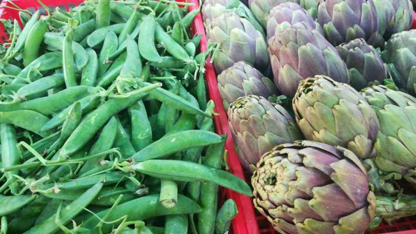 Azienda Agricola Bracciale