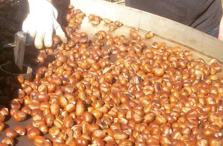 Azienda Agricola Bracciale