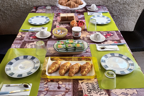 b&b Falcone