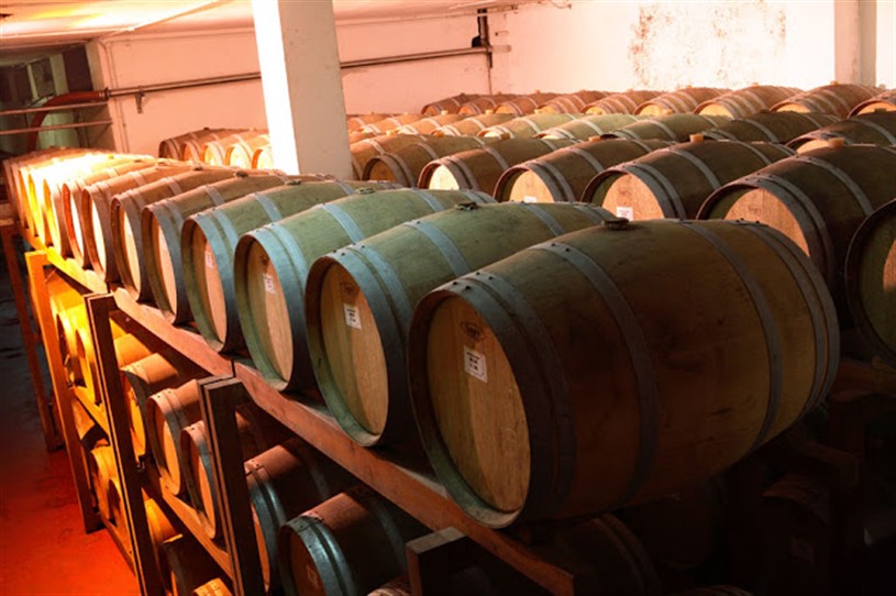 Cantina Colle Moro Soc. Coop. Agricola Frisa 