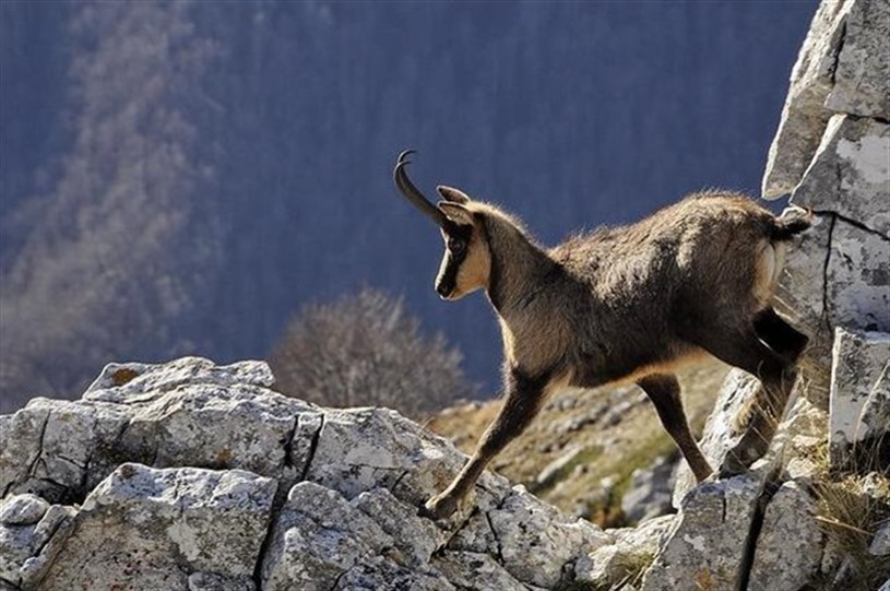 Centro visita Museo Naturalistico Parco Nazionale della Majella Lama Dei Peligni