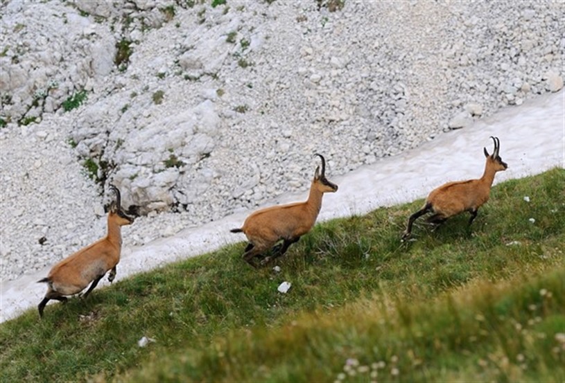 Centro visita Museo Naturalistico Parco Nazionale della Majella Lama Dei Peligni