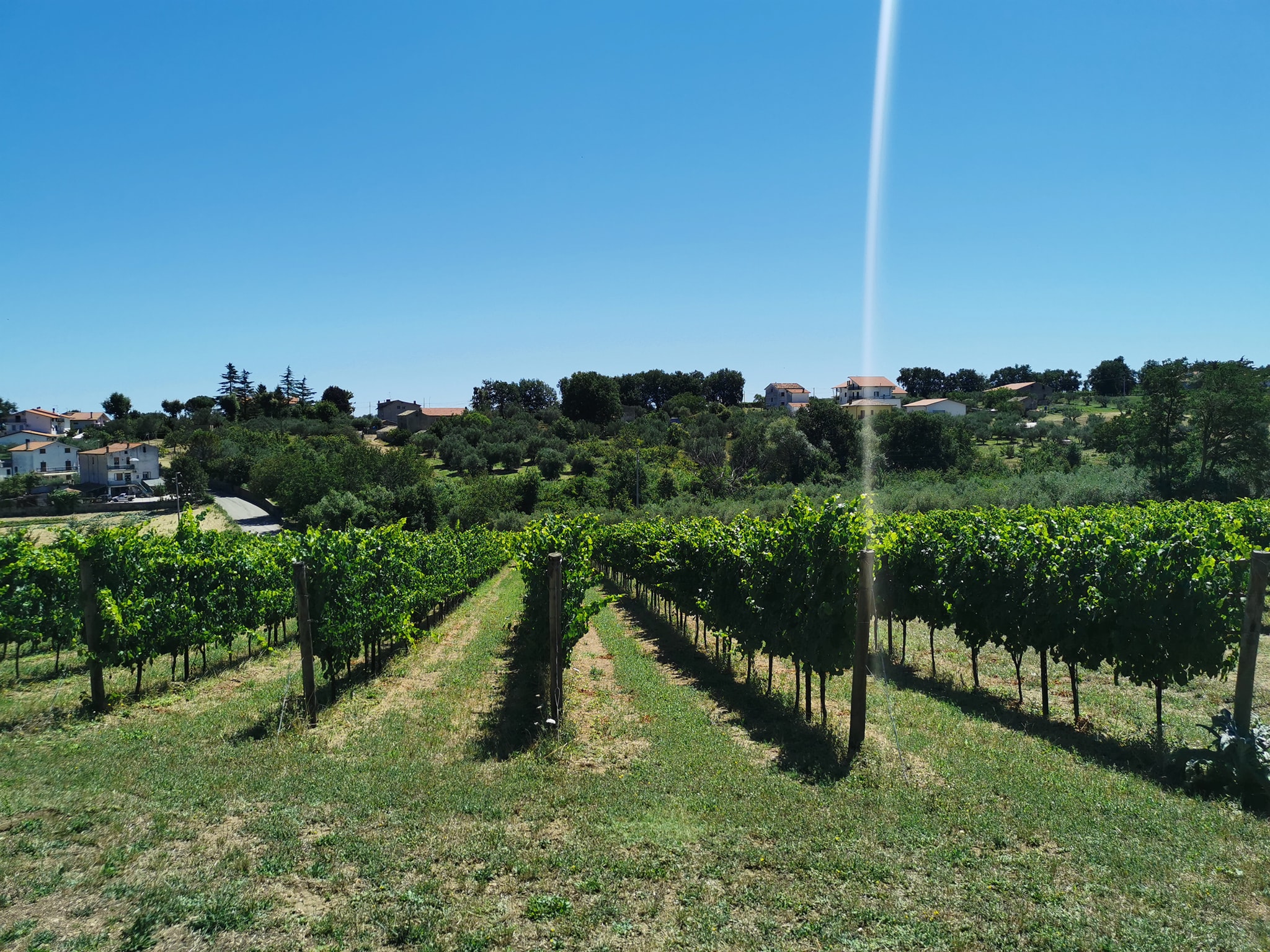 Cantina Eredi Legonziano Lanciano 