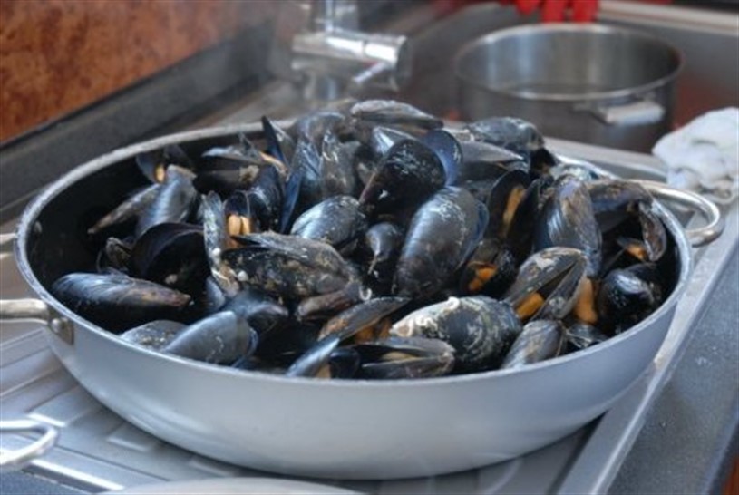 Pescaturismo Flying Fish Ortona