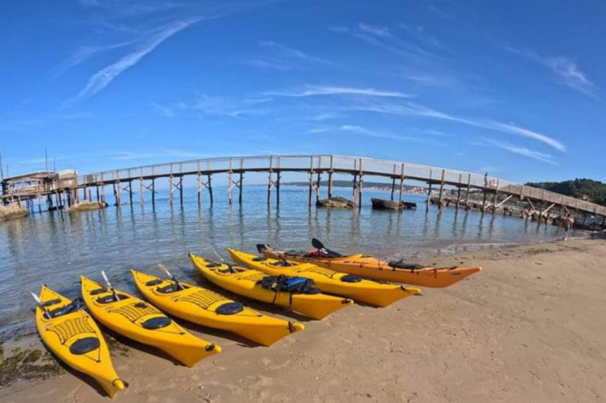 Golden Sea Kayak ASD APS