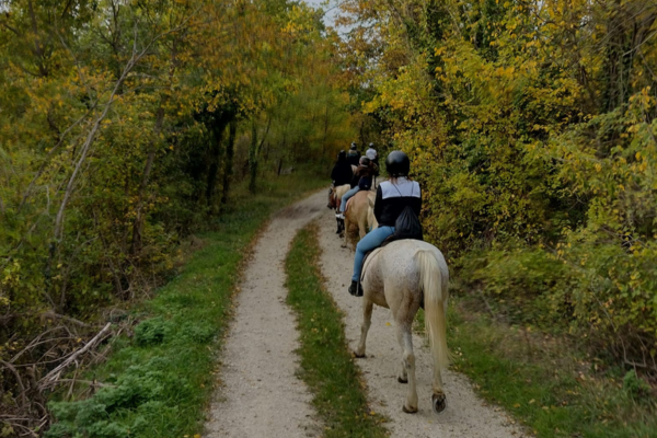 Fattoria la Guardata Torricella Peligna