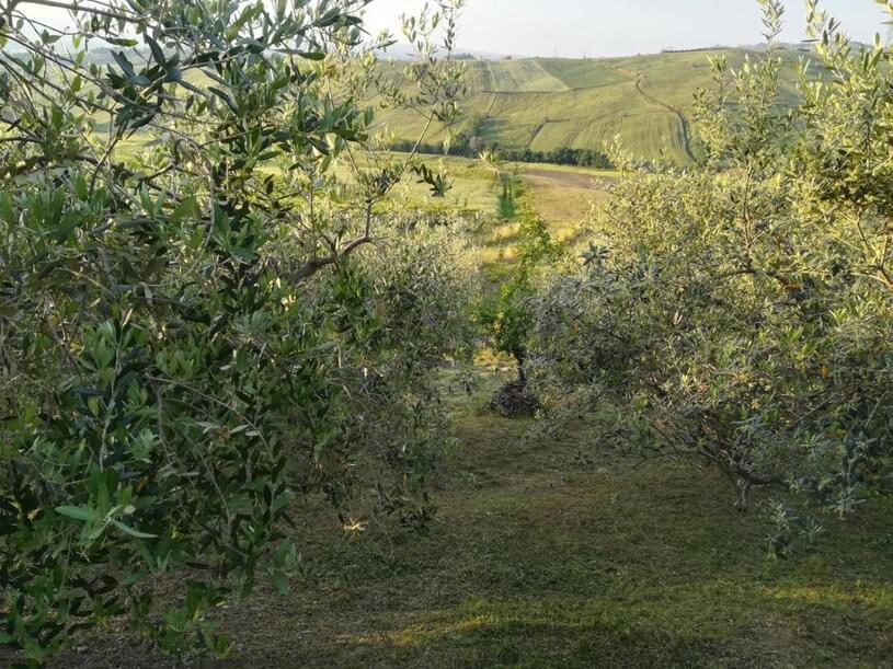 Agriturismo La Ruelle