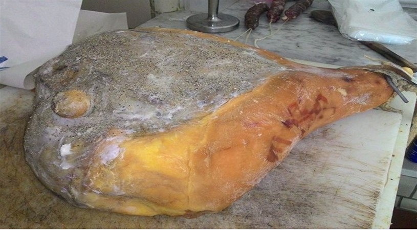 Macelleria della Cascata Civtaluparella