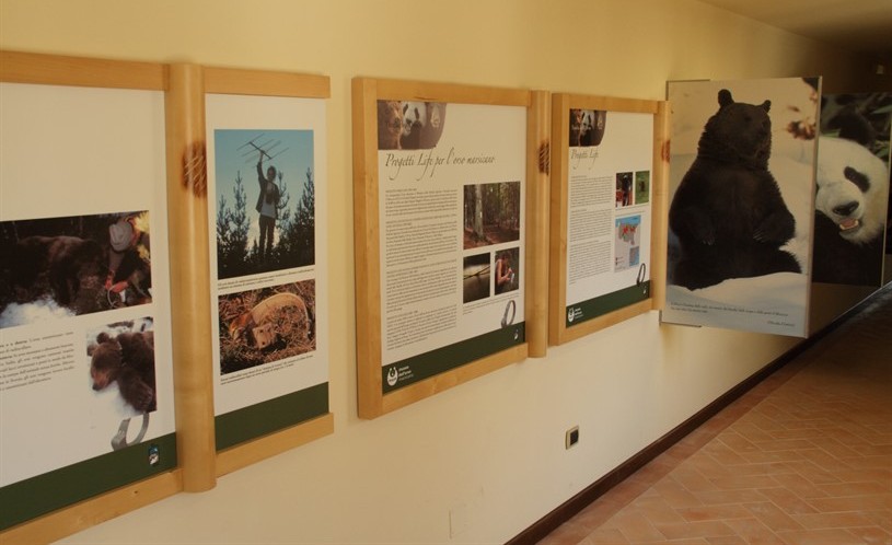 Museo dell'Orso Marsicano Palena