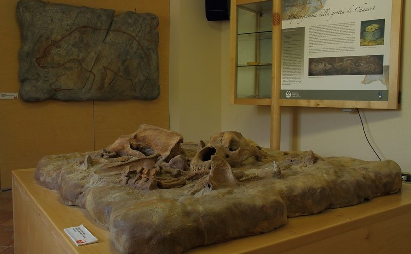 Museo dell'Orso Marsicano Palena