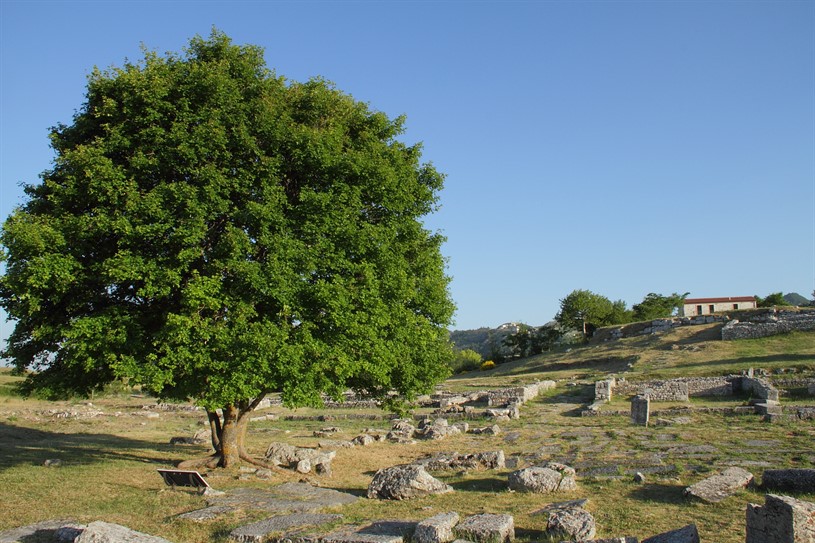 Area archeologica e Museo di Iuvanum Cosa visitare