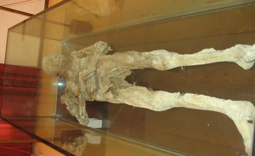 Piccolo Museo Civico
