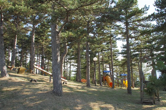 Pineta Comunale “Antonio Porreca” Torricella Peligna