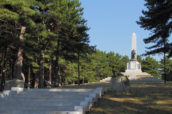 Pineta Comunale “Antonio Porreca” Torricella Peligna