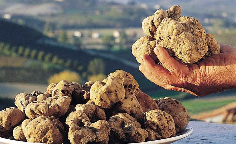 Rio Verde Tartufi Prodotti Tipici Borrello
