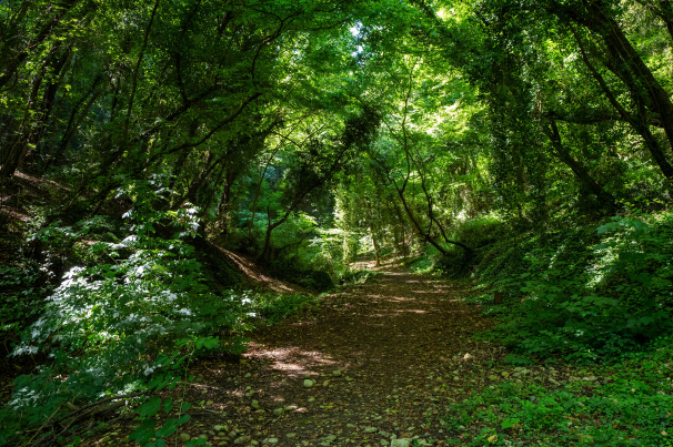 Riserva Naturale Regionale Grotta delle Farfalle Rocca San Giovanni
