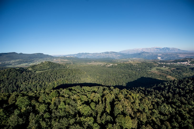 Riserva Regionale Abetina di Rosello