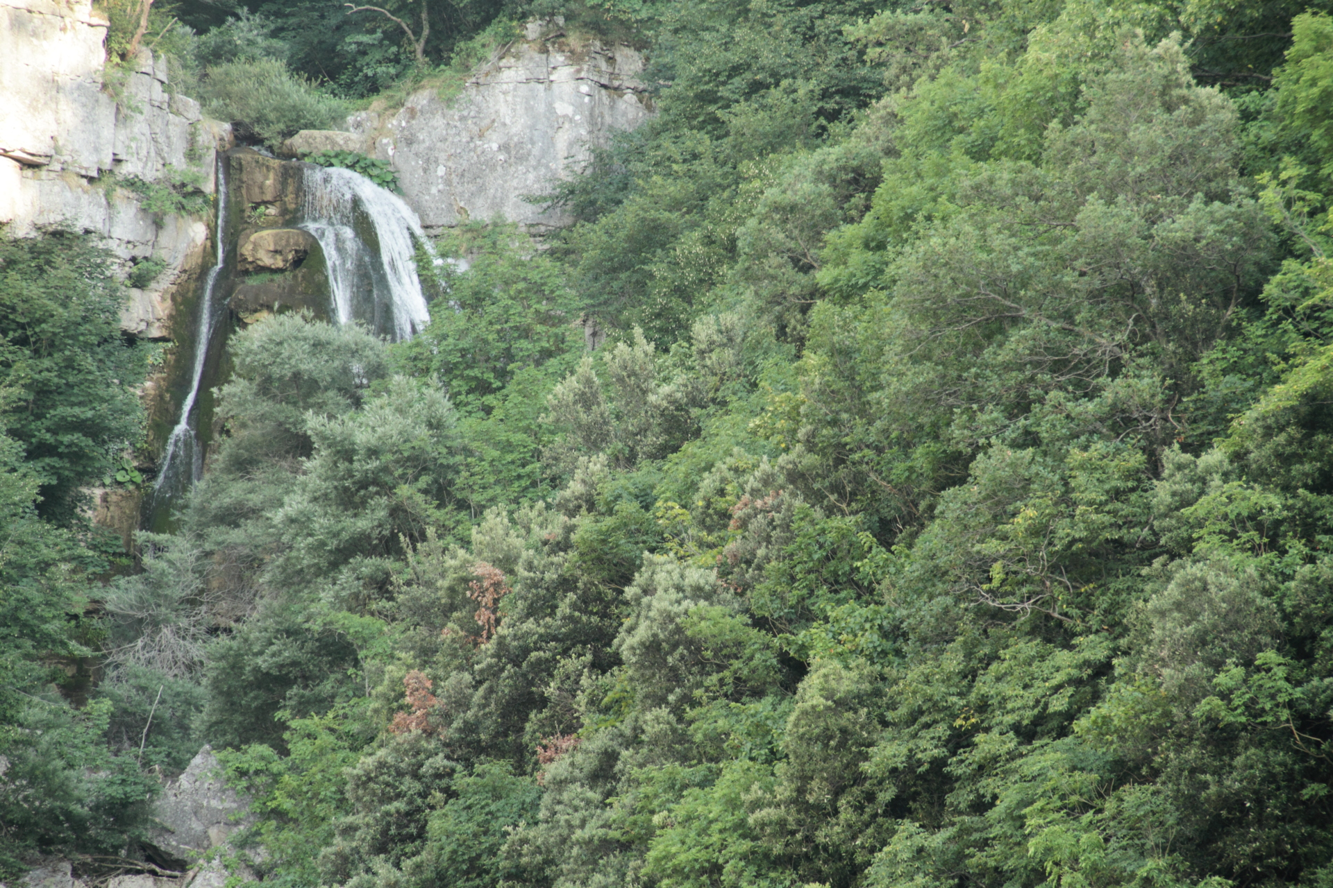 Riserva Naturale Regionale Cascate del Rio Verde Borrello