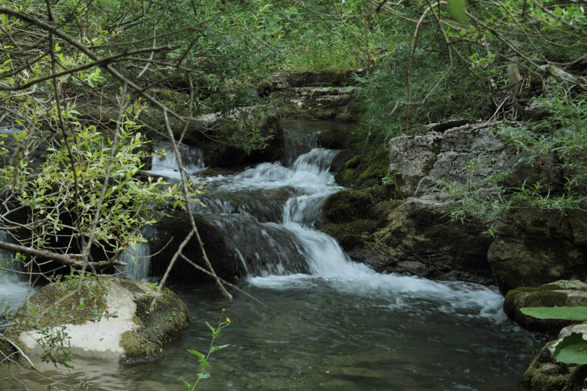 Riserva Naturale Regionale Cascate del Rio Verde Borrello