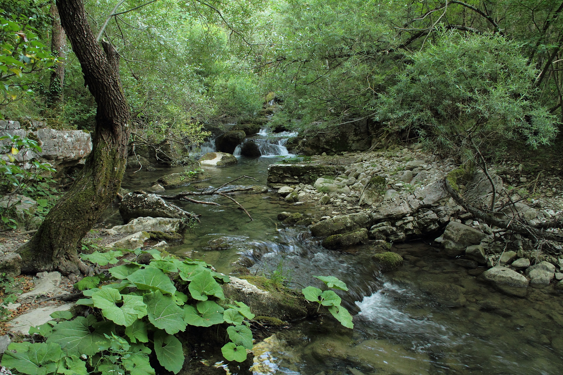 Riserva Naturale Regionale Cascate del Rio Verde Borrello