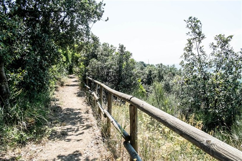 Riserva Naturale Regionale “Lecceta di Torino di Sangro” Torino di Sangro