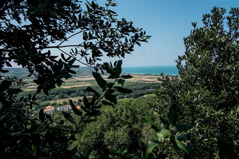 Riserva Naturale Regionale “Lecceta di Torino di Sangro” Torino di Sangro