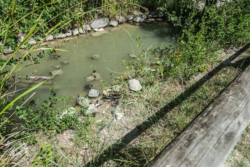 Riserva Naturale Regionale Oasi di Serranella Sant' Eusanio del Sangro