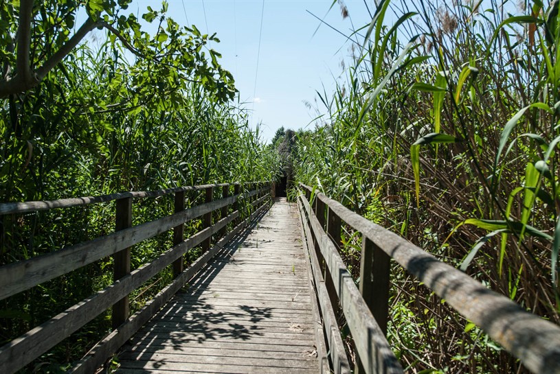 Riserva Naturale Regionale Oasi di Serranella Sant' Eusanio del Sangro