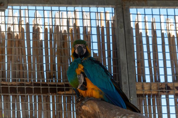 Zoo d'Abruzzo Rocca San Giovanni