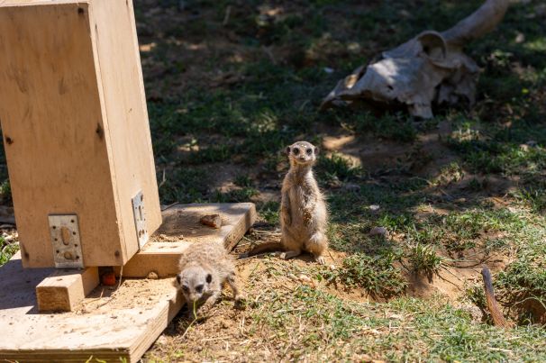 Zoo d'Abruzzo Rocca San Giovanni