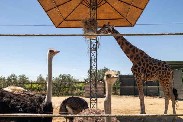 Zoo d'Abruzzo Rocca San Giovanni