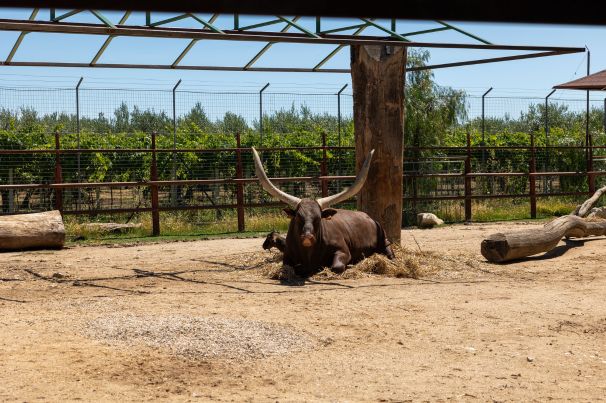 Zoo d'Abruzzo Rocca San Giovanni