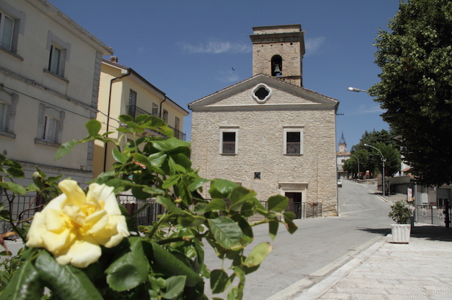 Borrello