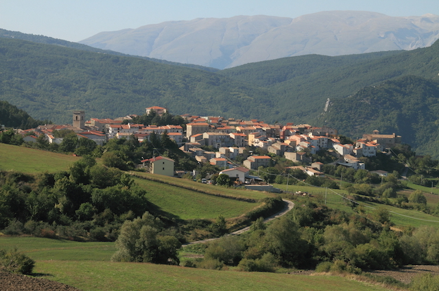 Borrello