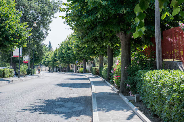 Mozzagrogna Mozzagrogna