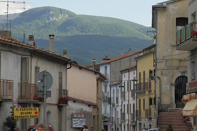 Quadri